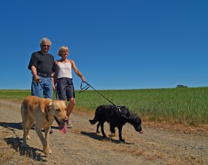 Mit dem Hund unterwegs sein